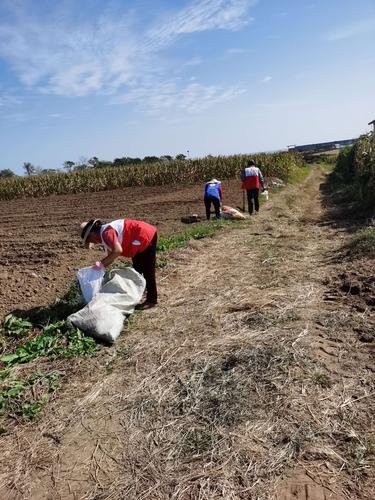 网格员和志愿者一起走进田间地头捡拾废弃农地膜和废弃农药瓶,保护