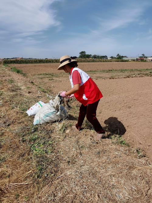 网格员和志愿者一起走进田间地头捡拾废弃农地膜和废弃农药瓶,保护